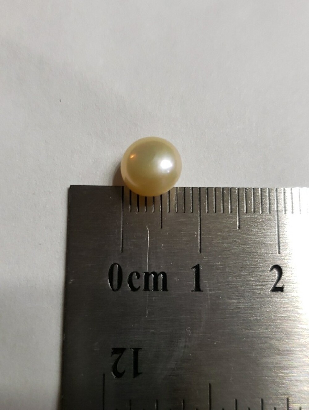 NWOT Gold/Off White Pearl Stud Earrings - Classic Women Jewelry - Picture 5 of 5